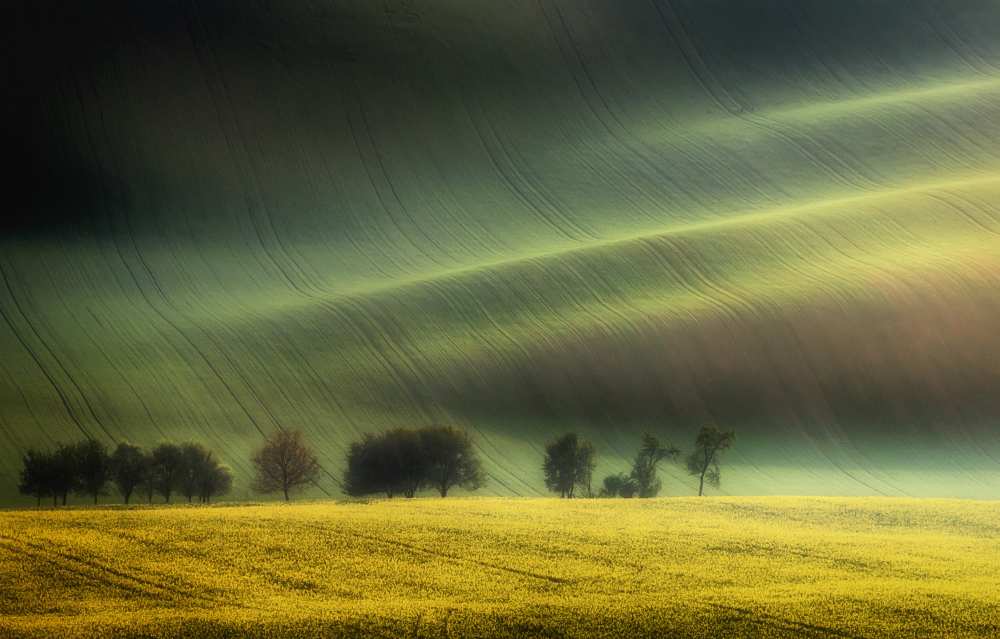 spring fields from Piotr Krol (Bax)