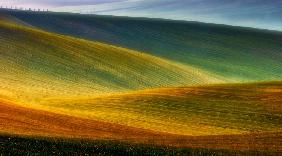 Spring fields - Piotr Krol (Bax)