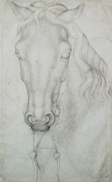 Head of a Horse (pen & ink on paper) from Pisanello