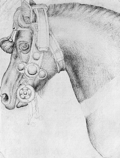 Head of a horse, from the The Vallardi Album from Pisanello