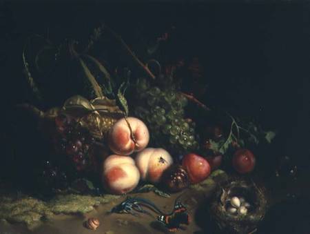 Still life with fruit (panel) from Rachel Ruysch