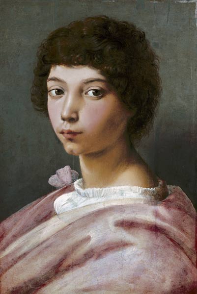 Portrait of a young man from Raffaello Sanzio da Urbino