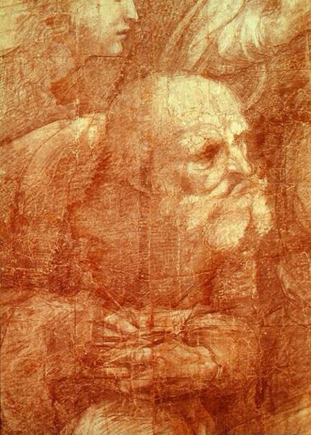 The School of Athens, detail of the cartoon depicting an elderly man from Raffaello Sanzio da Urbino
