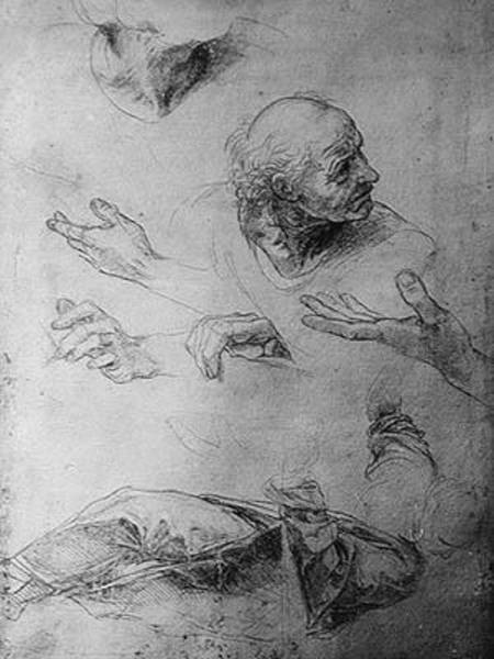 Studies for the Figure of Bramante (1444-1515) from Raffaello Sanzio da Urbino