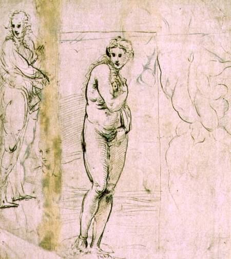 Study of Venus (pen & ink) from Raffaello Sanzio da Urbino