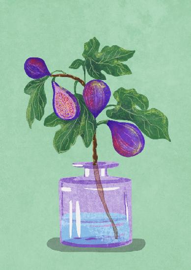 Figs Branch In Vase