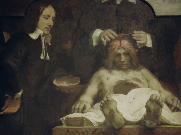 Rembrandt, Anatomie des Dr.J.Deijman from Rembrandt van Rijn