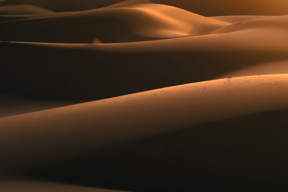 Light in Desert from Reza Mohammadi