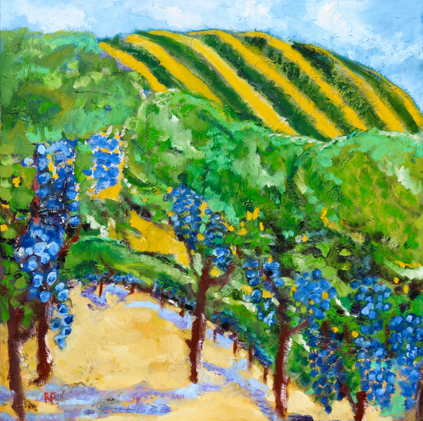Vineyard and Rolling Hills from Richard Fox