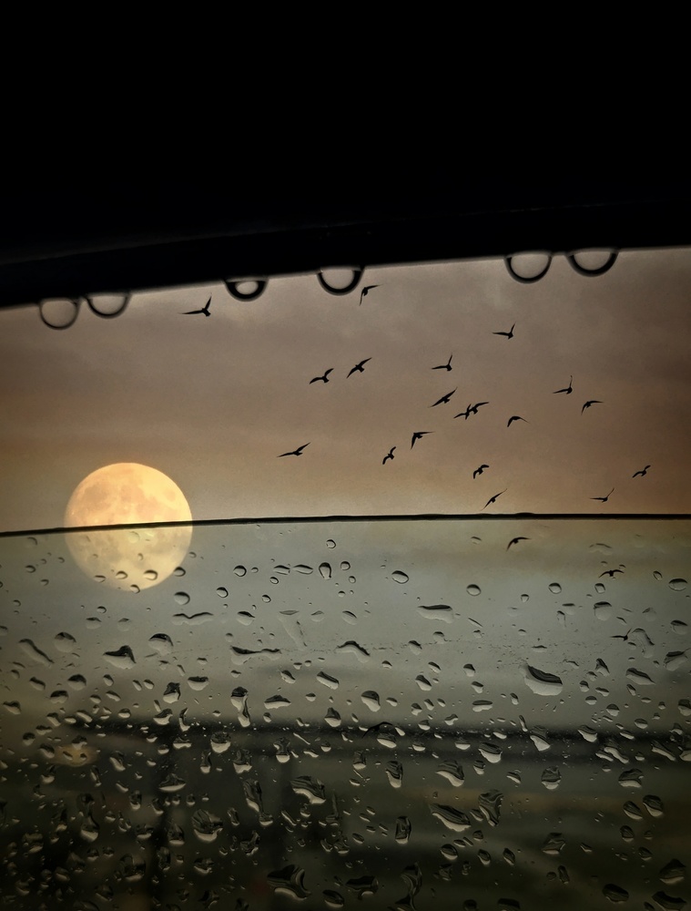 Rainy evening from Robert Fabrowski