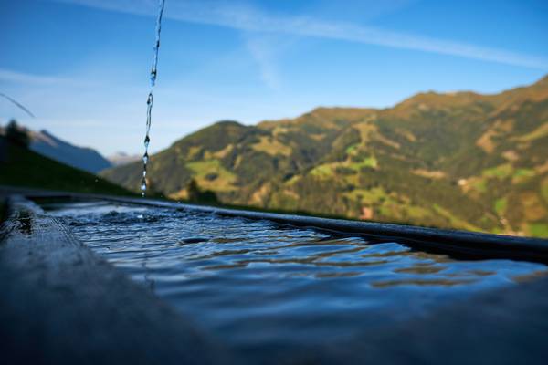 Holzbrunnen auf der Alm mit frischem sprudelndem Quellwasser, Aufnahmen aus dem Bregenzerwald. from Robert Kalb