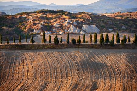 Landschaft in der Toskana mit Zypressenreihe