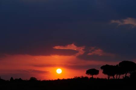 Sonnenaufgang über einer Umbrische Landschaft mit Pinien