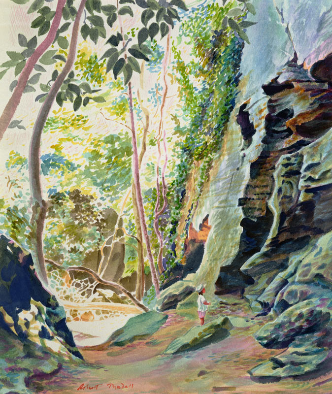 Rocks near Nowra, N.S.W. Australia (w/c)  from Robert  Tyndall