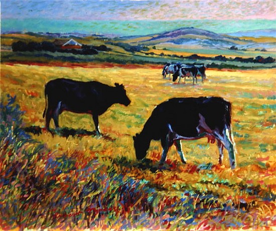 Cows on the Downs Overlooking Brighton  from Robert  Tyndall