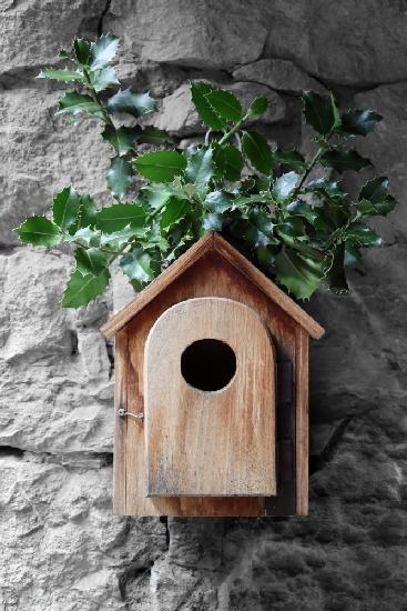 Holly birdhouse