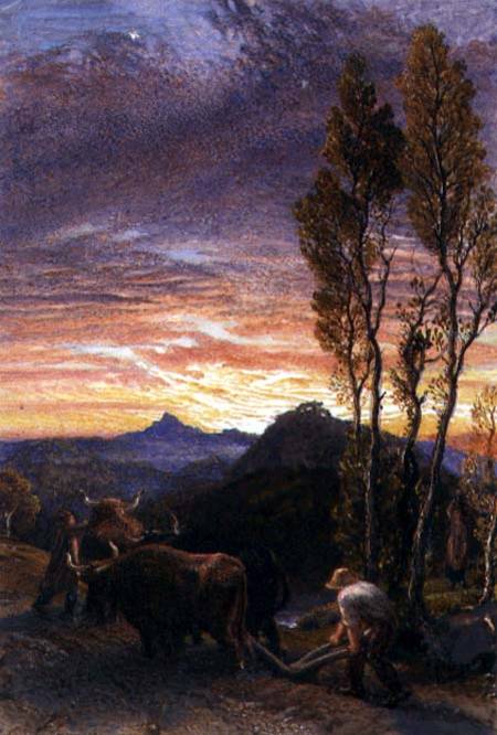Oxen Ploughing at Sunset from Samuel Palmer