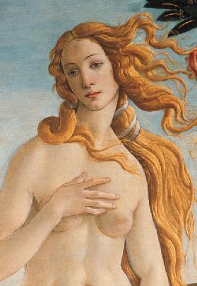 Venus, detail from The Birth of Venus