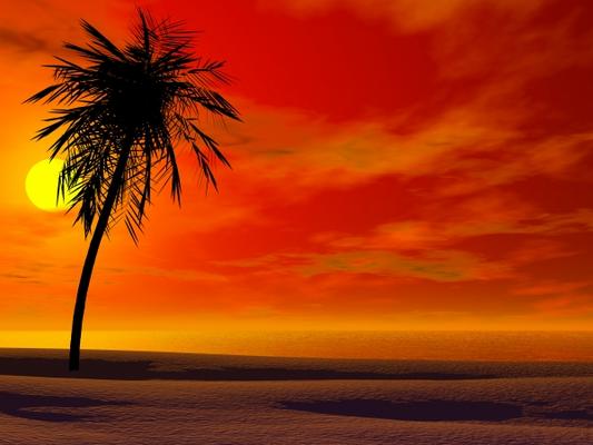 Tropical sunset from Sarah Holmlund
