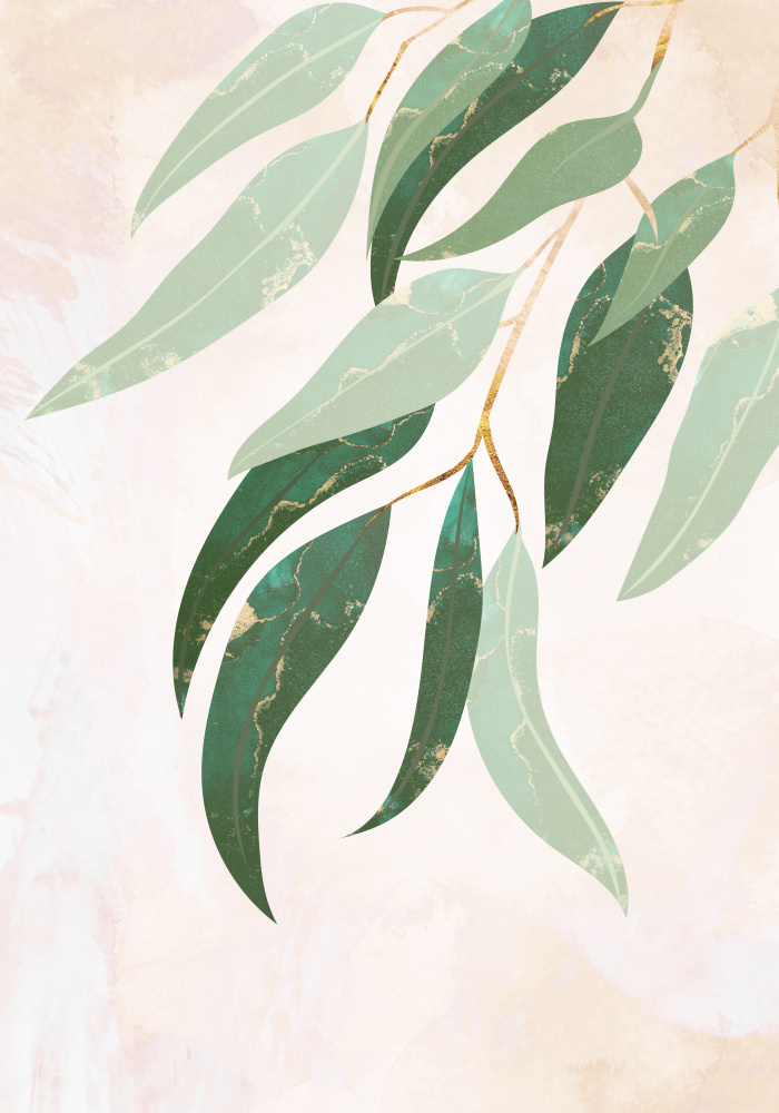 Australian Eucalyptus leaves from Sarah Manovski
