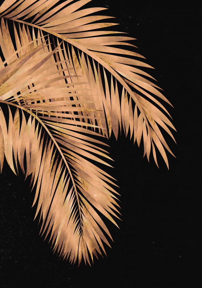 Golden palms black copper 1 from Sarah Manovski