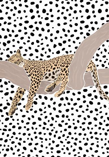 Leopard Sleeping Polkadots