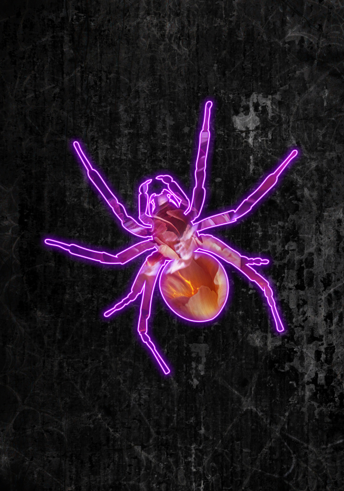 Neon halloween spider from Sarah Manovski