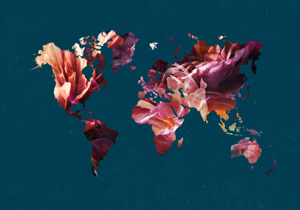 World Map Flowers from Sarah Manovski