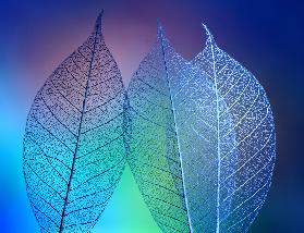 Prismatic leafs