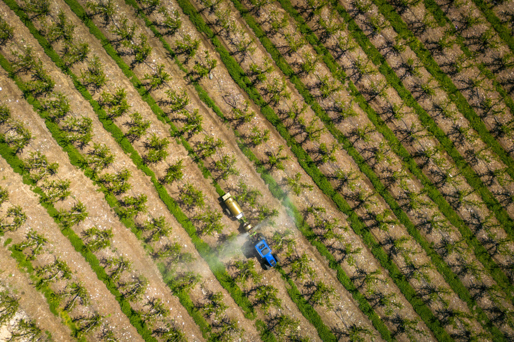 Agriculture from above from Shmulik Weiss