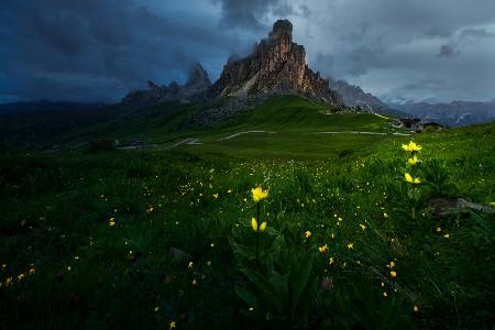 After the mountain rain