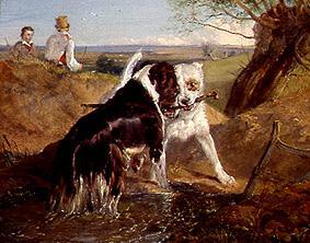 Two dogs in the fight for a Stöckchen from Sir Edwin Henry Landseer