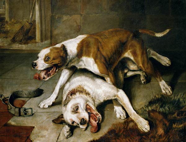 Fighting dogs from Sir Edwin Henry Landseer