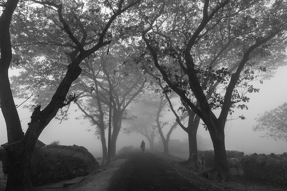 Village road in morning fog from Souvik Banerjee