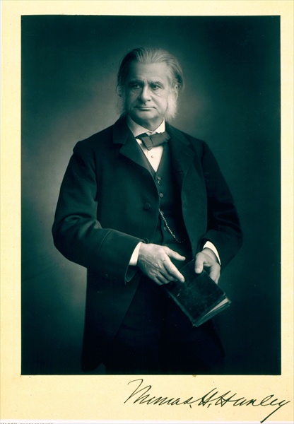 Professor Thomas H. Huxley (1825-95), biologist, portrait photograph (b/w photo)  from Stanislaus Walery