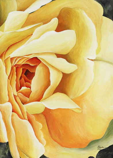 Yellow Rose (right) from Stefanie Zachmann