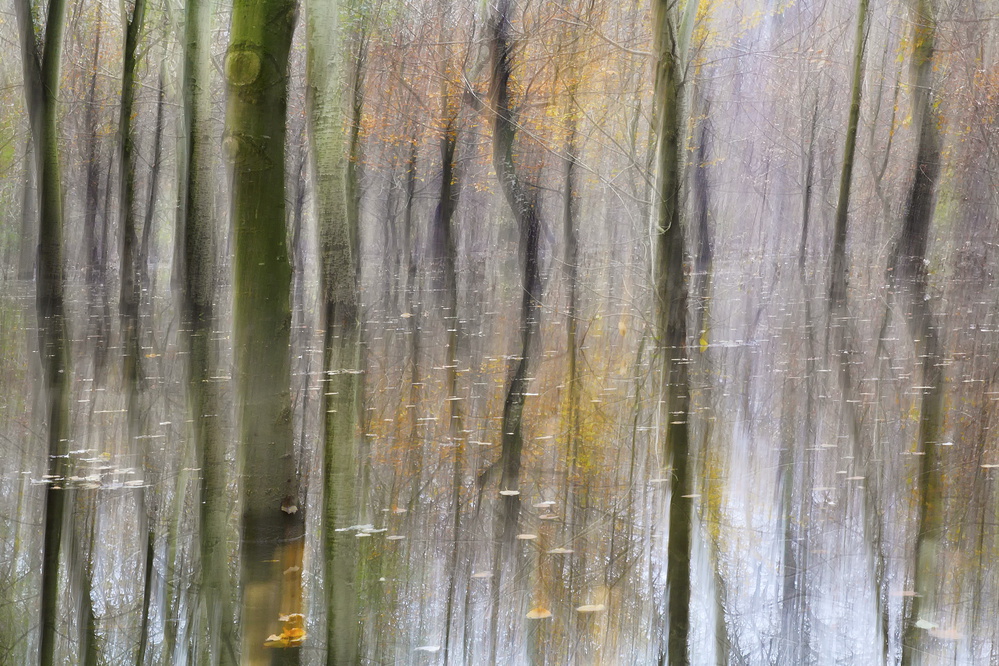 Ticino river flooding in abstract from Stefano Oppioni