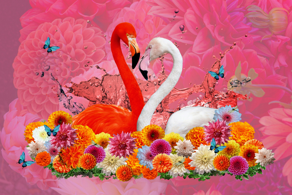 Flamingo &amp; Dahlias Spring from Sue Skellern