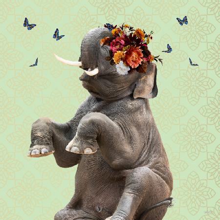 Spring Flower Bonnet On Elephant
