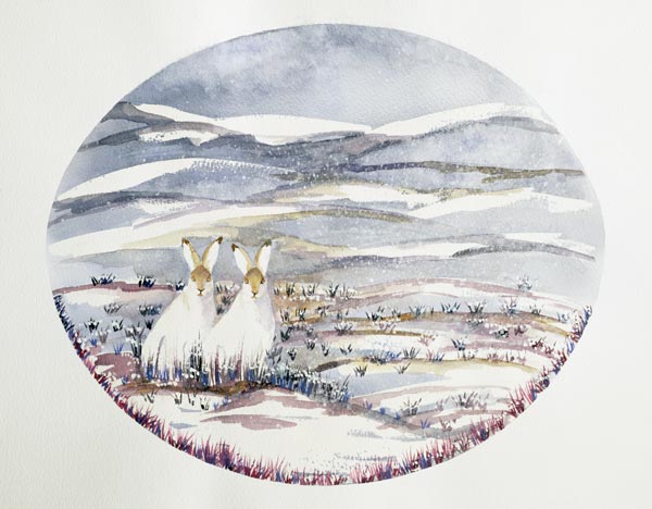 Two Hares in a Snowy Landscape (w/c) from Suzi  Kennett