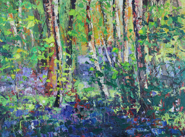 Bluebells and Dancing Leaves from Sylvia  Paul