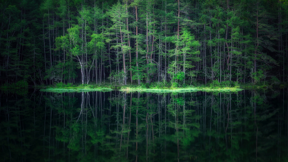 Green World from Takeshi Mitamura