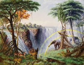 Der Mosi-oa-Tunya oder: Die Victoria Falls, Zambesi River