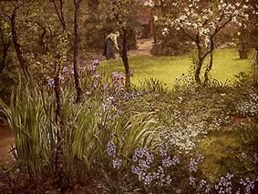 A garden in London from Thomas Matthews Rooke