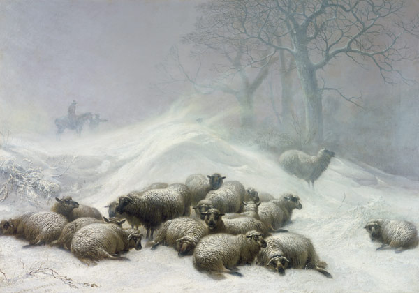 Sheep in a Snowstorm from Thomas Sidney Cooper