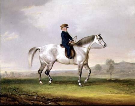 Master Edward Humphries on his Grey Pony from Thomas Weaver