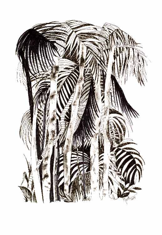 Jungle from Brigitte Thonhauser-Merk