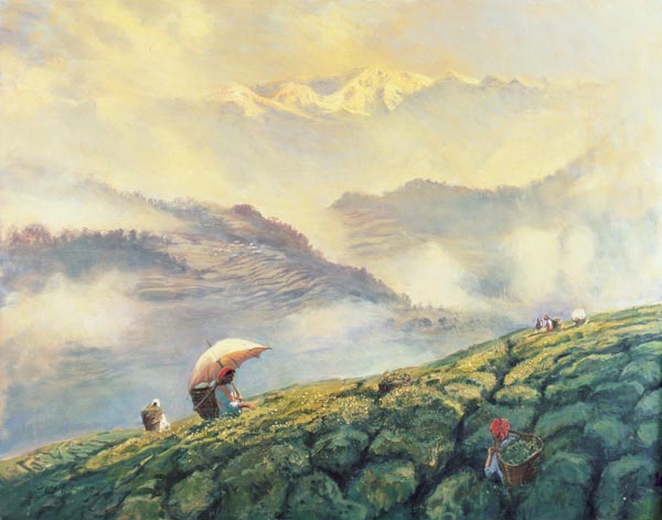 Tea Picking, Darjeeling, India, 1999 (oil on canvas)  from Tim  Scott Bolton