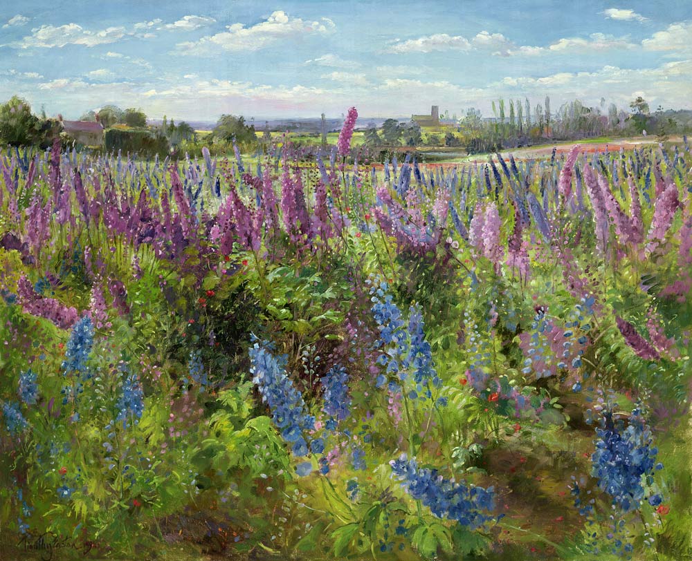 Delphiniums and Poppies, 1991  from Timothy  Easton
