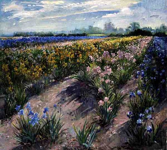 Dawn Dazzle at Burgate, 1998 (oil on canvas)  from Timothy  Easton
